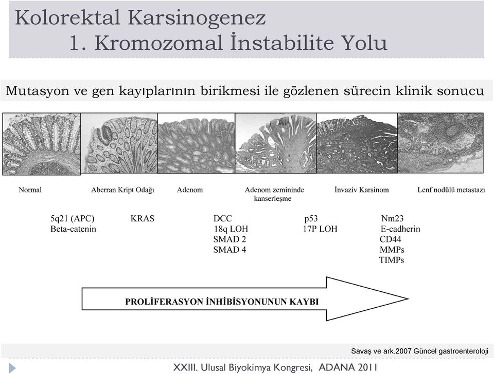 gen kayıplarının birikmesi ile gözlenen