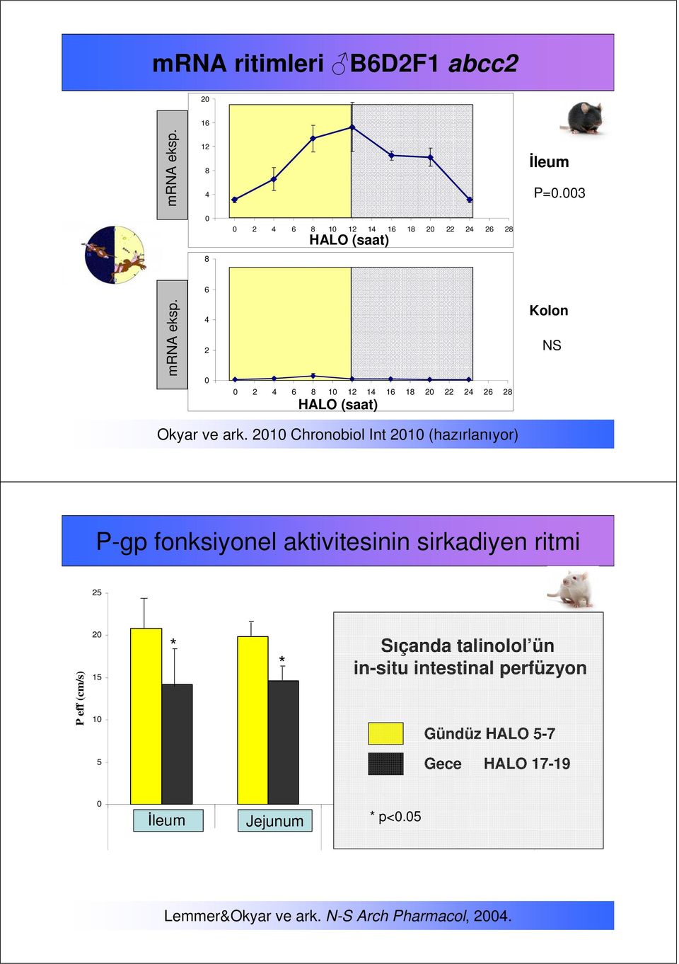 2010 Chronobiol Int 2010 (hazırlanıyor) P-gp fonksiyonel aktivitesinin sirkadiyen ritmi 25 P eff (cm/s) 20 15 10 * * Sıçanda talinolol