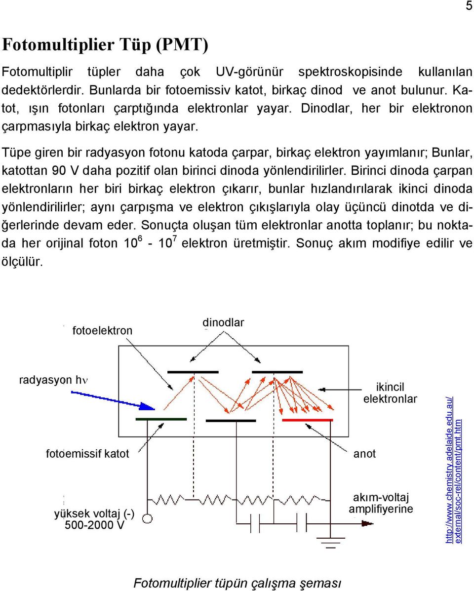 Tüpe giren bir radyasyon fotonu katoda çarpar, birkaç elektron yayımlanır; Bunlar, katottan 90 V daha pozitif olan birinci dinoda yönlendirilirler.