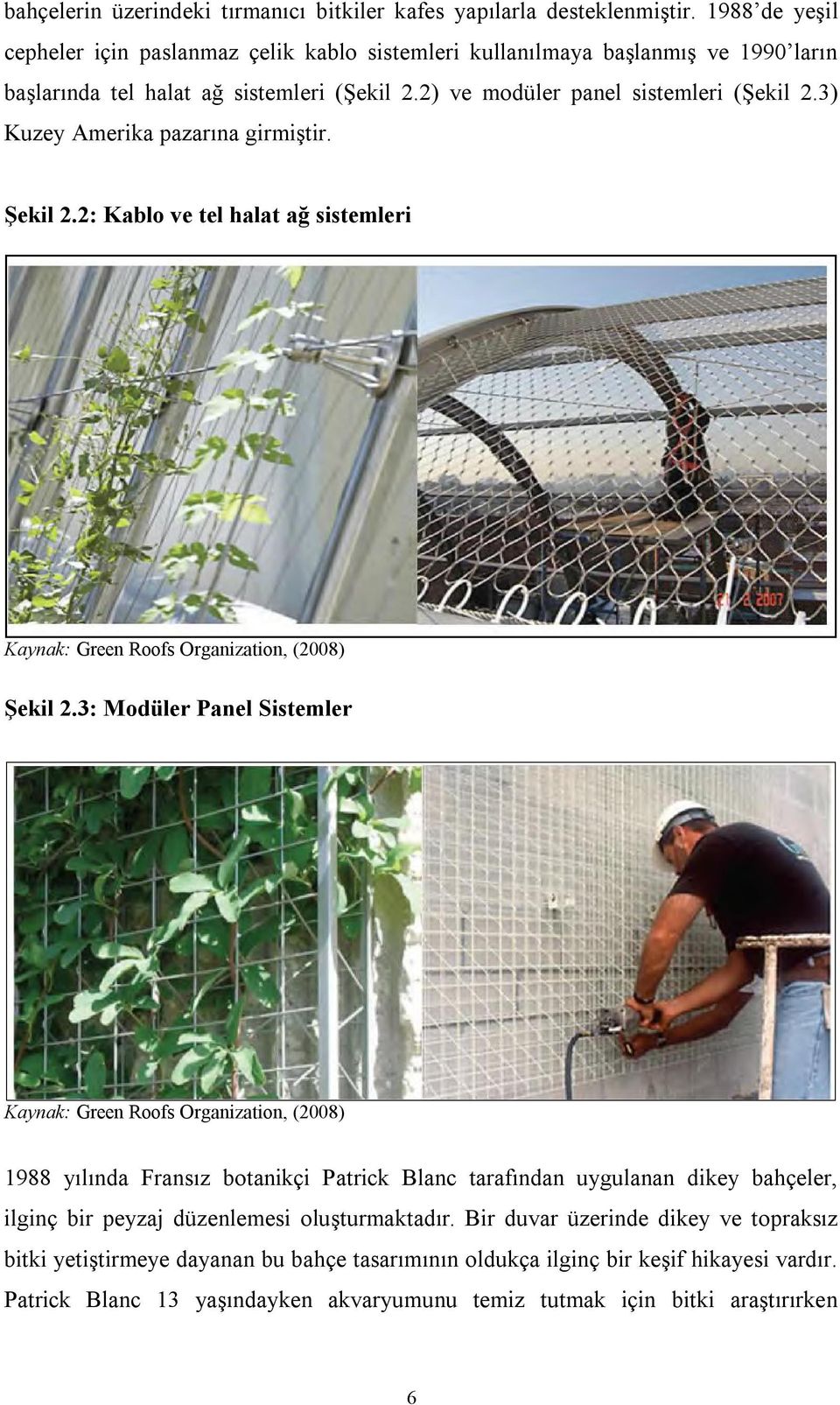 3) Kuzey Amerika pazarına girmiştir. Şekil 2.2: Kablo ve tel halat ağ sistemleri Kaynak: Green Roofs Organization, (2008) Şekil 2.