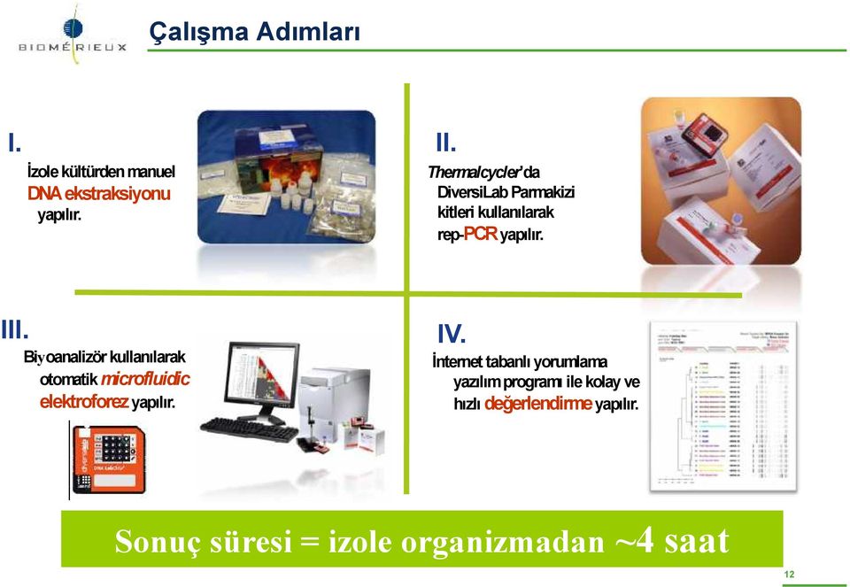 Biyoanalizör kullanılarak otomatik microfluidic elektroforez yapılır.