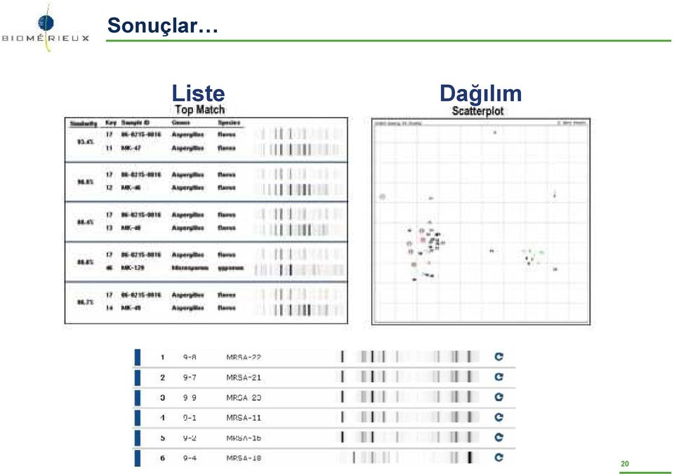 Dağılım