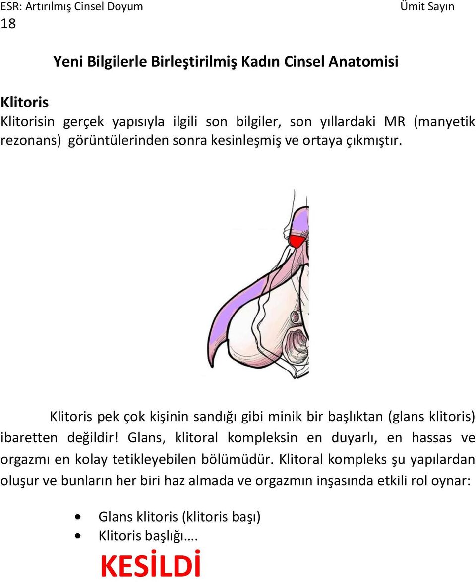 Klitoris pek çok kişinin sandığı gibi minik bir başlıktan (glans klitoris) ibaretten değildir!