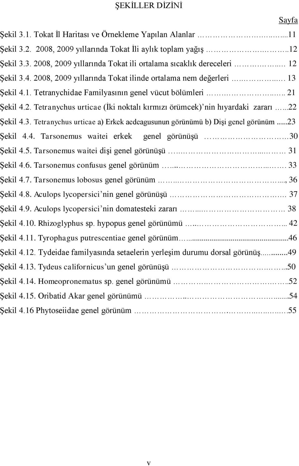 ..22 ġekil 4.3. Tetranychus urticae a) Erkek aedeagusunun görünümü b) DiĢi genel görünüm...23 ġekil 4.4. Tarsonemus waitei erkek genel görünüģü 30 ġekil 4.5. Tarsonemus waitei diģi genel görünüģü.