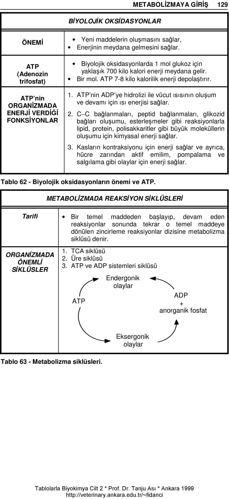 2. C C bağlanmaları, peptid bağlanmaları, glikozid bağları oluşumu, esterleşmeler gibi reaksiyonlarla lipid, protein, polisakkaritler gibi büyük moleküllerin oluşumu için kimyasal enerji sağlar. 3.