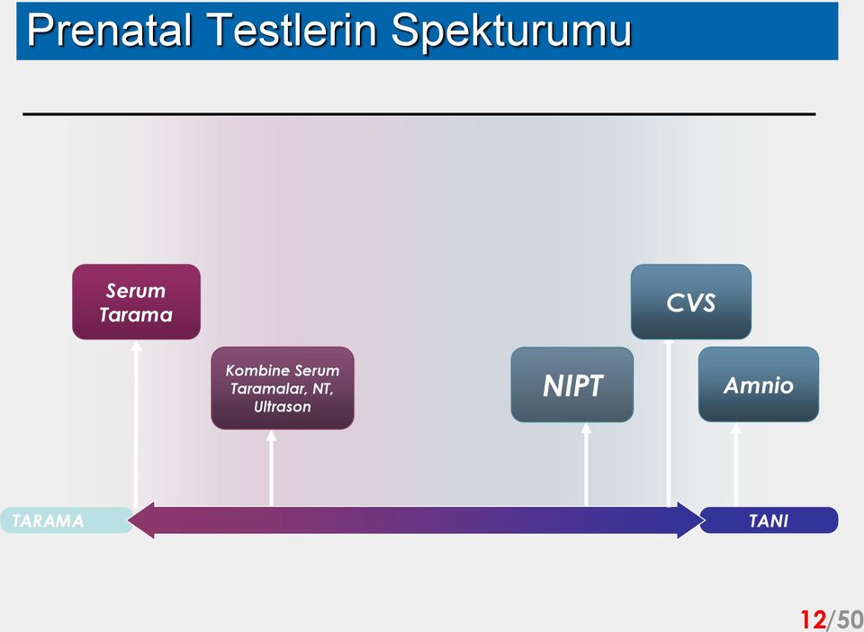 Kombine Serum Taramalar, NT,