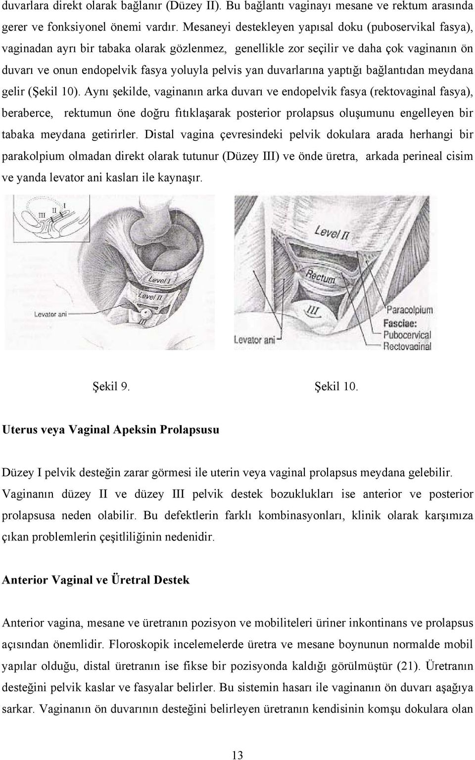 duvarlarına yaptığı bağlantıdan meydana gelir (Şekil 10).