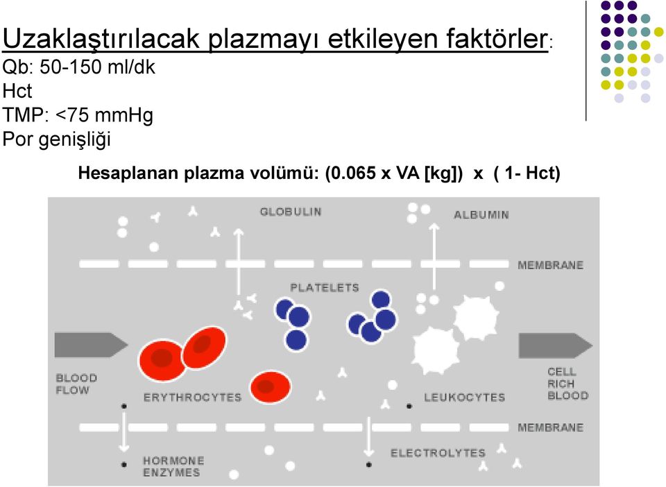 <75 mmhg Por geniģliği Hesaplanan