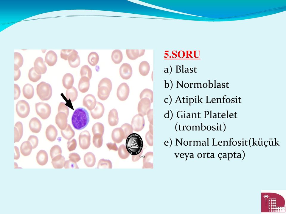 Platelet (trombosit) e)