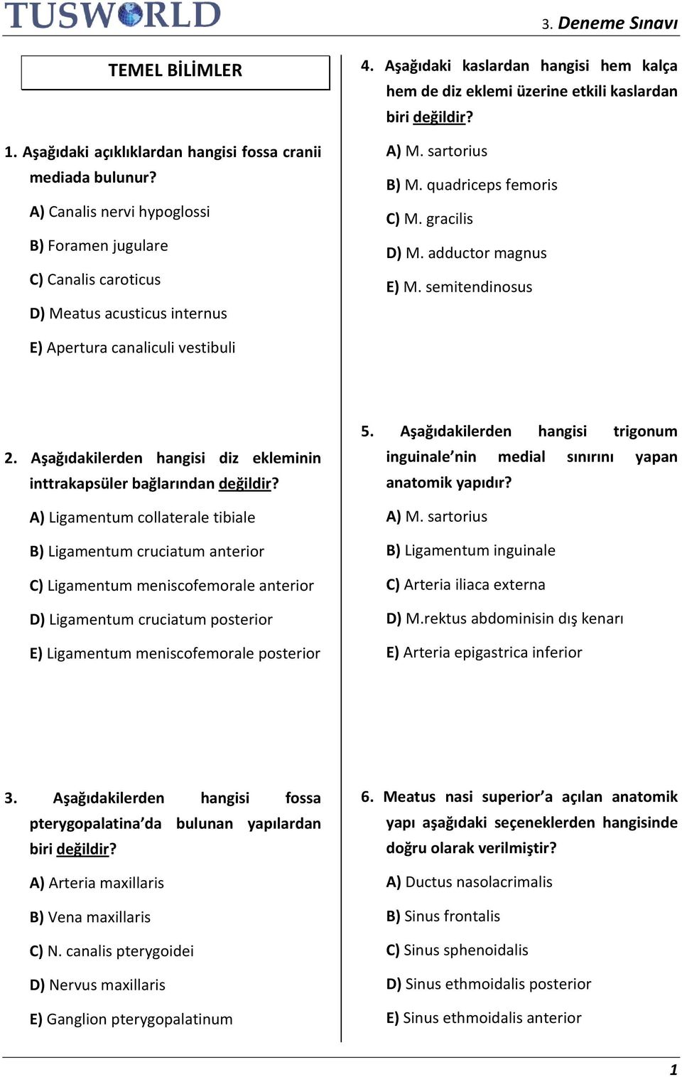 semitendinosus E) Apertura canaliculi vestibuli 2. Aşağıdakilerden hangisi diz ekleminin inttrakapsüler bağlarından değildir?