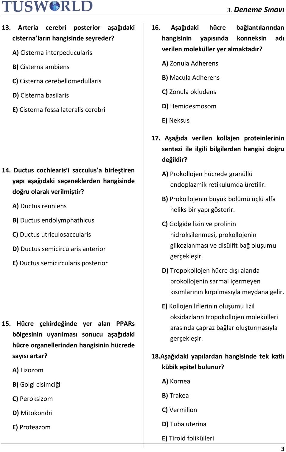 Ductus cochlearis i sacculus a birleştiren yapı aşağıdaki seçeneklerden hangisinde doğru olarak verilmiştir?