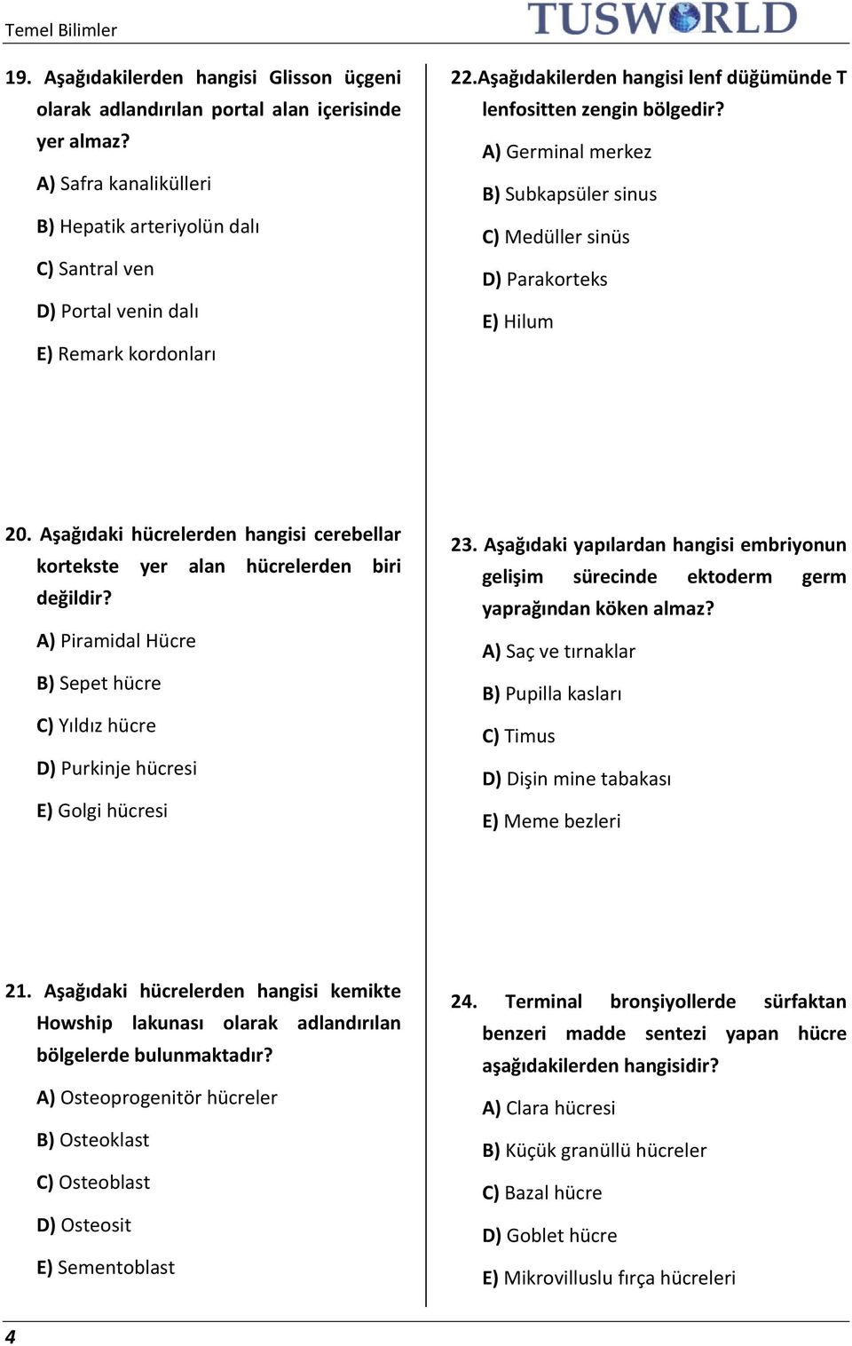 A) Germinal merkez B) Subkapsüler sinus C) Medüller sinüs D) Parakorteks E) Hilum 20. Aşağıdaki hücrelerden hangisi cerebellar kortekste yer alan hücrelerden biri değildir?