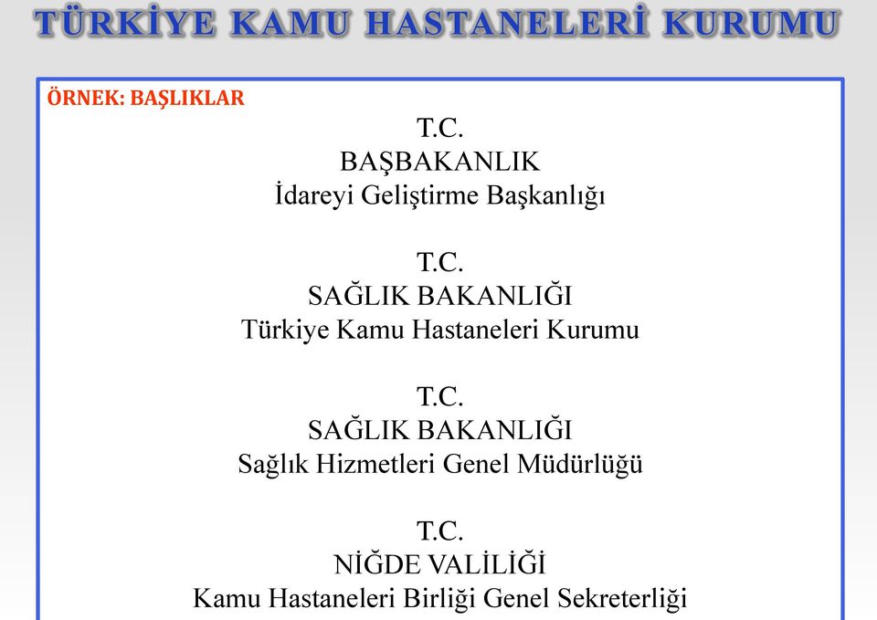 SAĞLIK BAKANLIĞI Türkiye Kamu Hastaneleri Kurumu T.C.