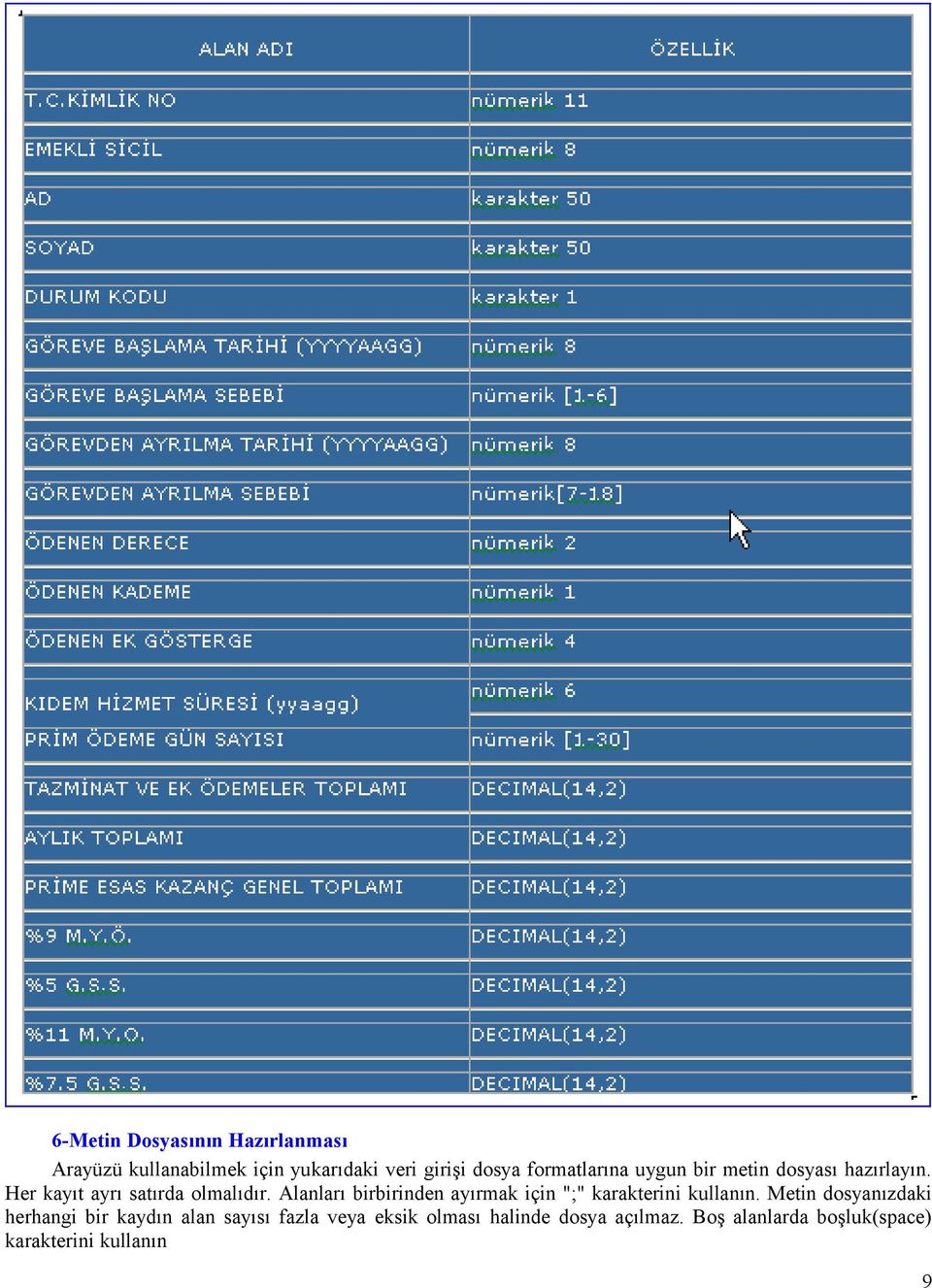 Alanları birbirinden ayırmak için ";" karakterini kullanın.