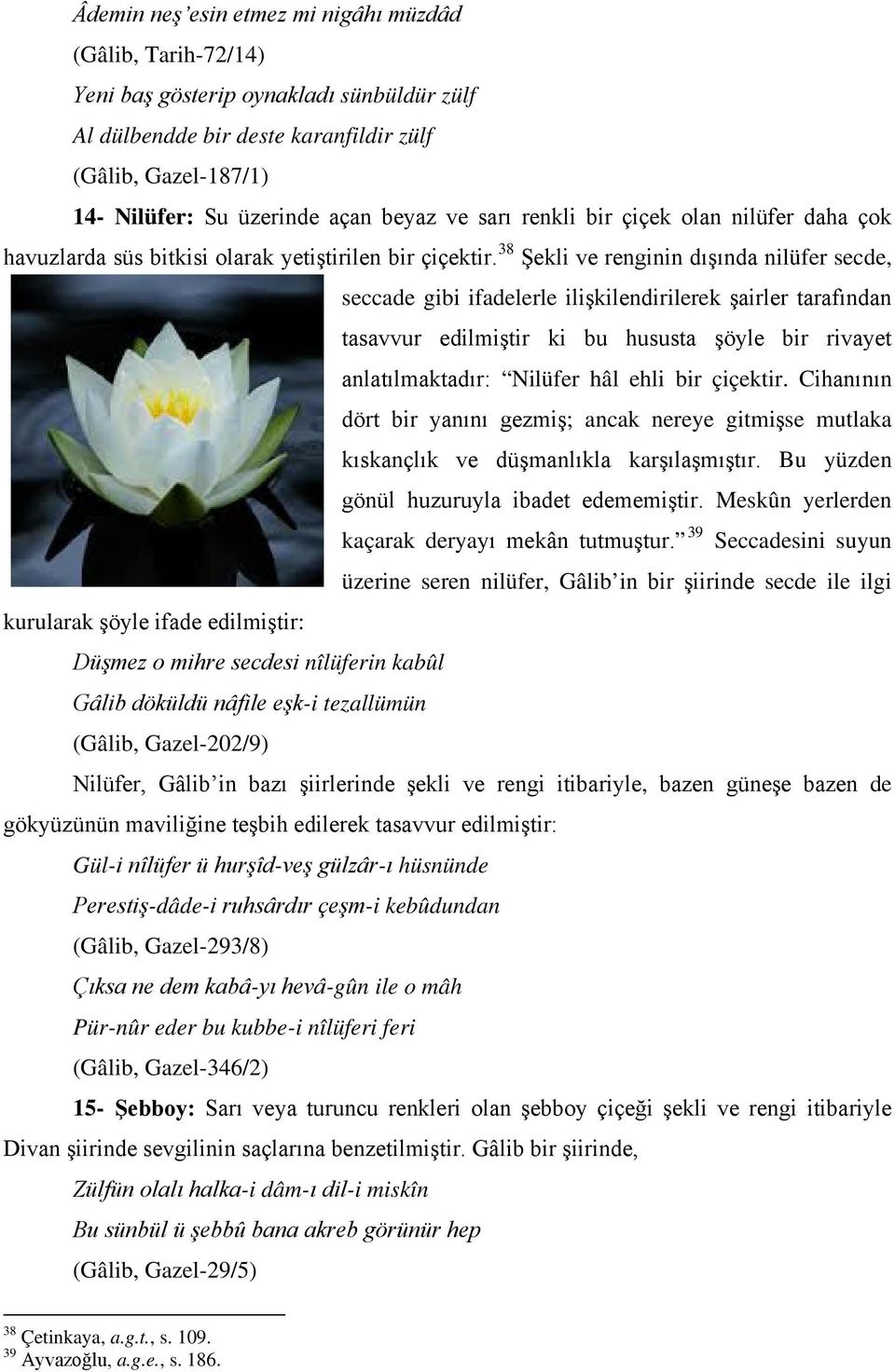 38 Şekli ve renginin dışında nilüfer secde, seccade gibi ifadelerle ilişkilendirilerek şairler tarafından tasavvur edilmiştir ki bu hususta şöyle bir rivayet anlatılmaktadır: Nilüfer hâl ehli bir