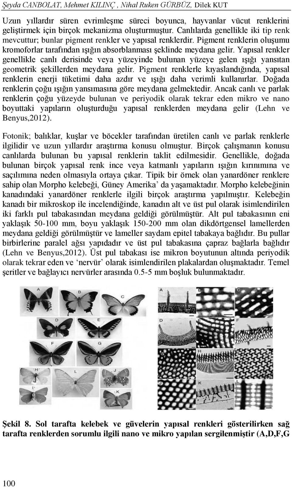 Yapısal renkler genellikle canlı derisinde veya yüzeyinde bulunan yüzeye gelen ışığı yansıtan geometrik şekillerden meydana gelir.