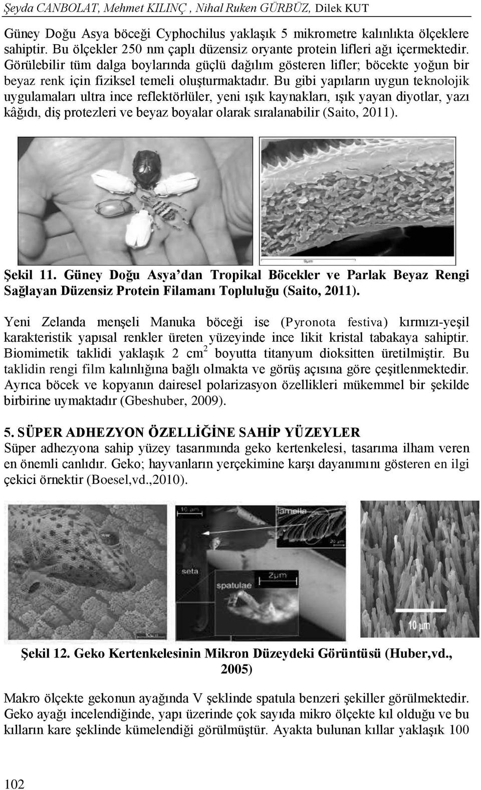 Görülebilir tüm dalga boylarında güçlü dağılım gösteren lifler; böcekte yoğun bir beyaz renk için fiziksel temeli oluşturmaktadır.