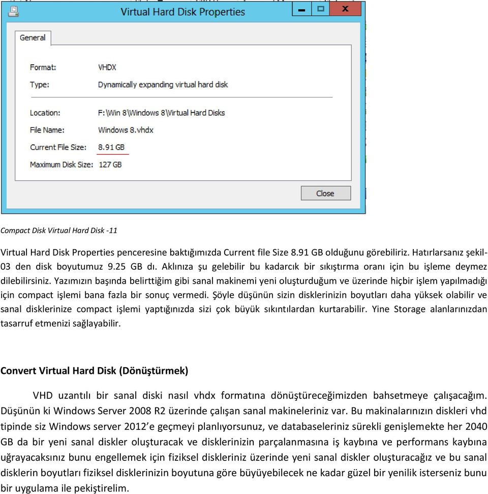 Yazımızın başında belirttiğim gibi sanal makinemi yeni oluşturduğum ve üzerinde hiçbir işlem yapılmadığı için compact işlemi bana fazla bir sonuç vermedi.