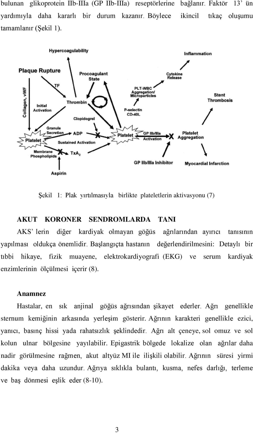 Başlangıçta hastanın değerlendirilmesini: Detaylı bir tıbbi hikaye, fizik muayene, elektrokardiyografi (EKG) ve serum kardiyak enzimlerinin ölçülmesi içerir (8).