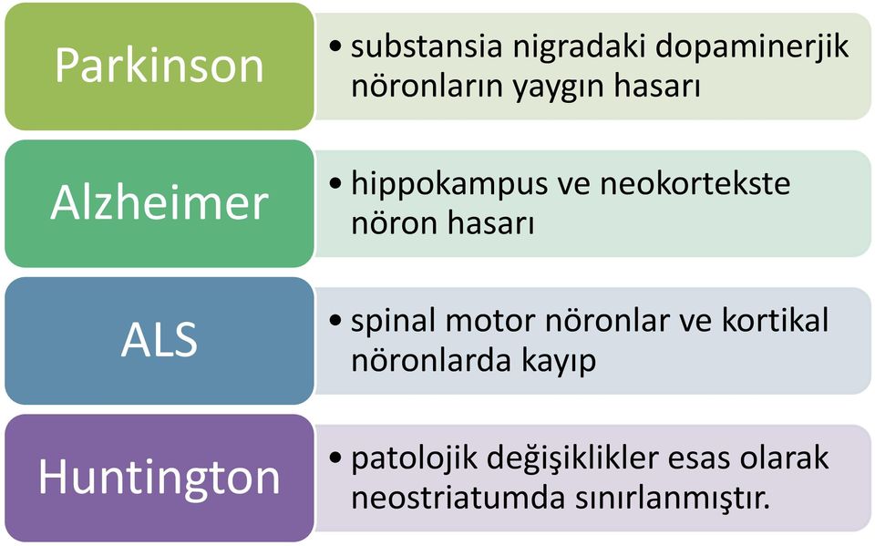 neokortekste nöron hasarı spinal motor nöronlar ve kortikal