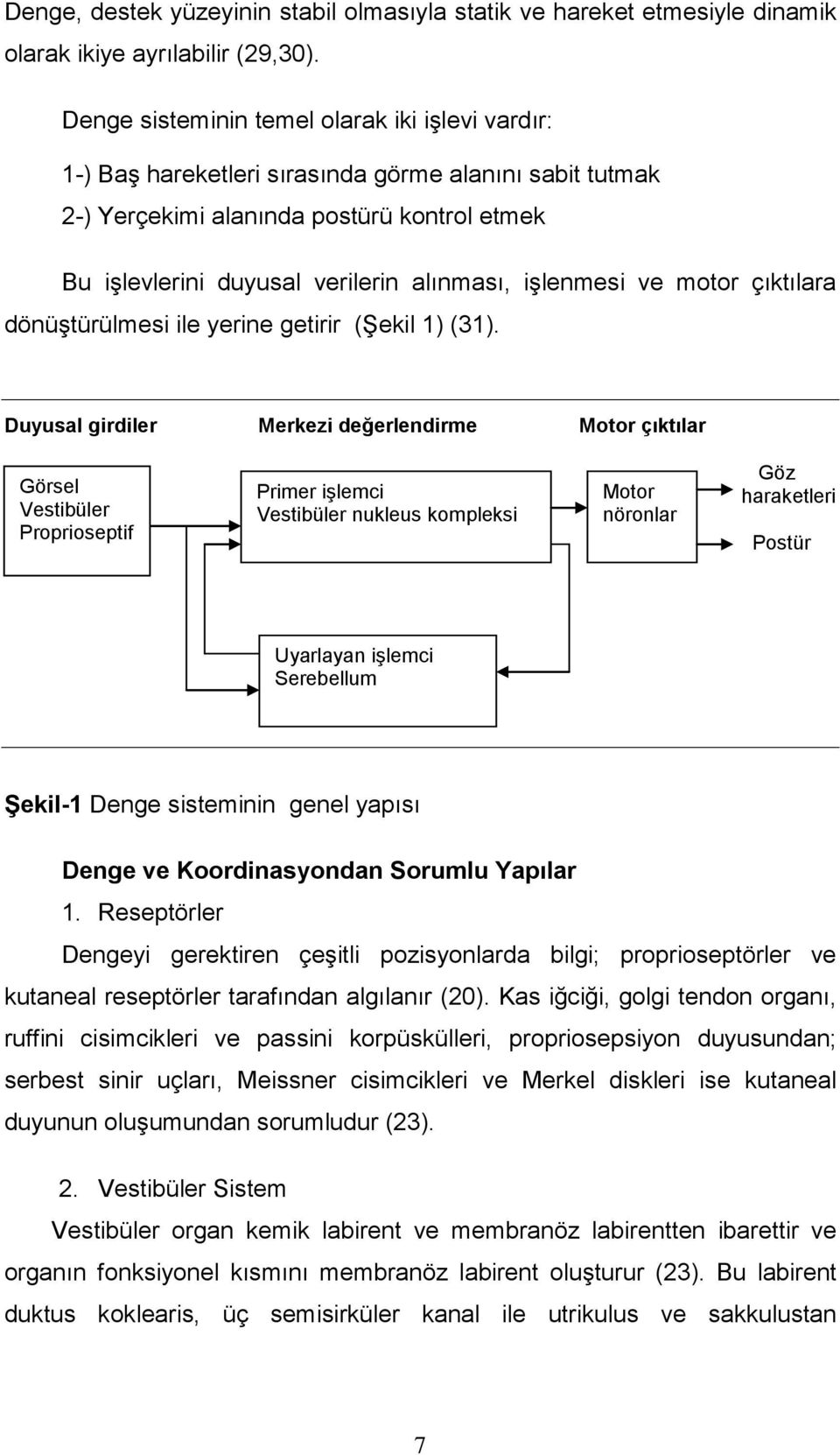 işlenmesi ve motor çıktılara dönüştürülmesi ile yerine getirir (Şekil 1) (31).