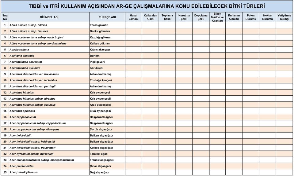 brevicaulis Adlandırılmamış 10 Acanthus dioscoridis var. laciniatus Tosbağa kengeri 11 Acanthus dioscoridis var.