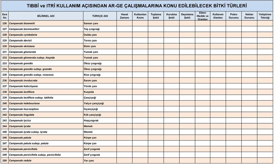 rizeensis Rize çıngırağı 236 Campanula involucrata Sarım çanı 237 Campanula kotschyana Yörük çanı 238 Campanula lactiflora Kuspida 239 Campanula lactiflora subsp.