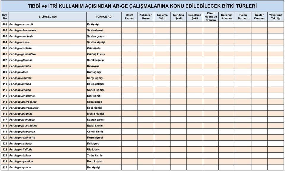 latiloba Çoruh kişnişi 413 Ferulago longistylis Dişi kişniş 414 Ferulago macrocarpa Koca kişniş 415 Ferulago macrosciadia Kedi kişnişi 416 Ferulago mughlae Muğla kişnişi 417 Ferulago pachyloba Kayrak