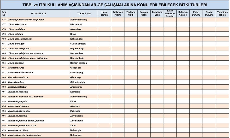 monadelphum Bey zambağı 483 Lilium monadelphum var. armenum Sarı zambak 484 Lilium monadelphum var.