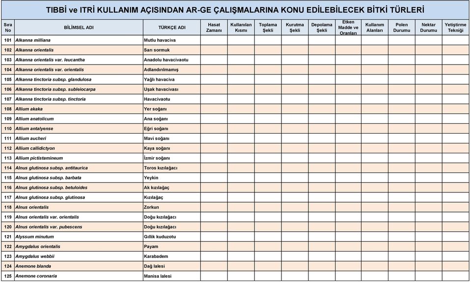 tinctoria Havacivaotu 108 Allium akaka Yer soğanı 109 Allium anatolicum Ana soğanı 110 Allium antalyense Eğri soğanı 111 Allium aucheri Mavi soğanı 112 Allium callidictyon Kaya soğanı 113 Allium