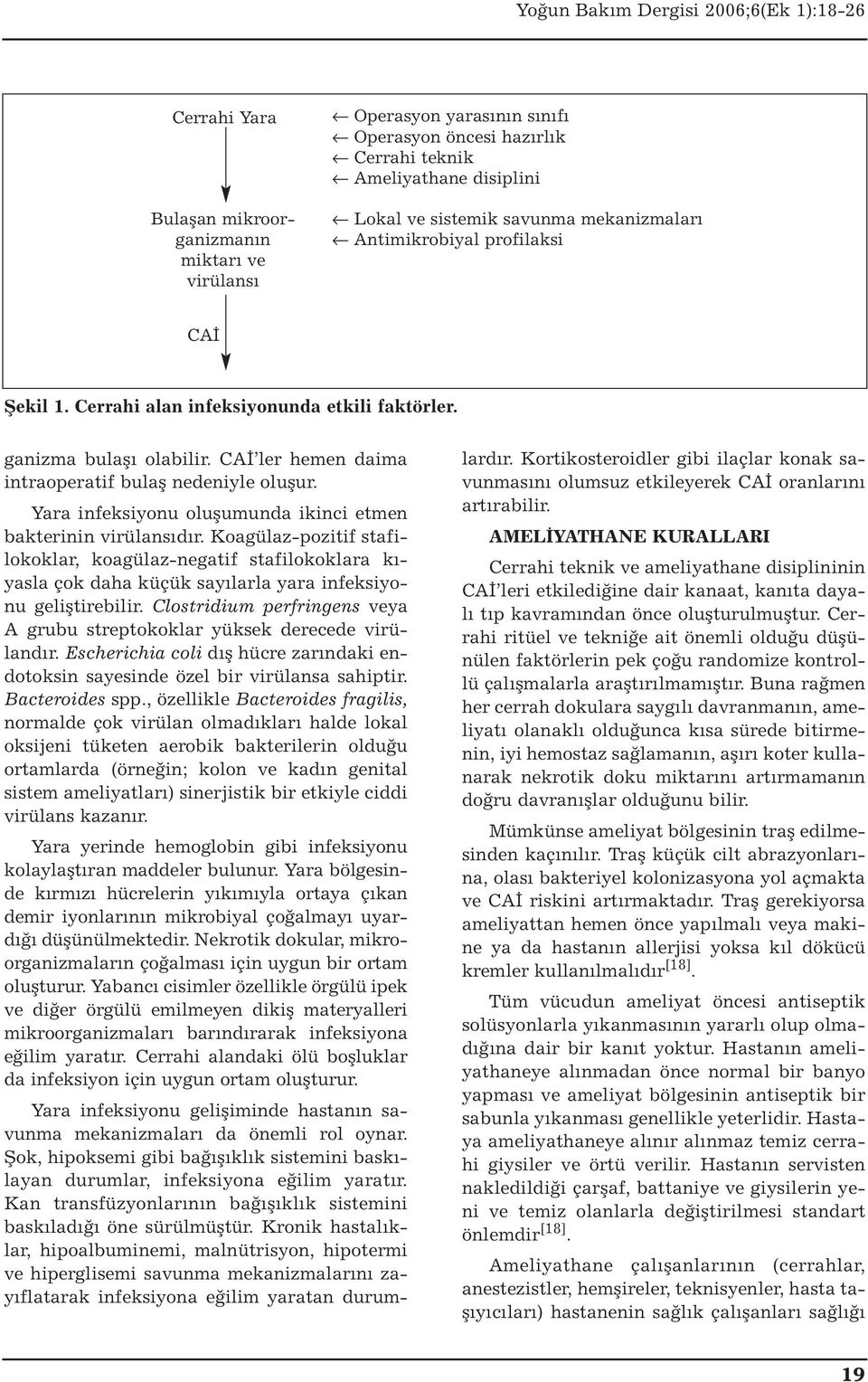 Yara infeksiyonu oluşumunda ikinci etmen bakterinin virülansıdır. Koagülaz-pozitif stafilokoklar, koagülaz-negatif stafilokoklara kıyasla çok daha küçük sayılarla yara infeksiyonu geliştirebilir.