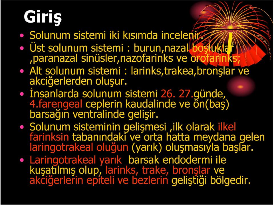 akciğerlerden oluşur. İnsanlarda solunum sistemi 26. 27.günde, 4.farengeal ceplerin kaudalinde ve ön(baş) barsağın ventralinde gelişir.