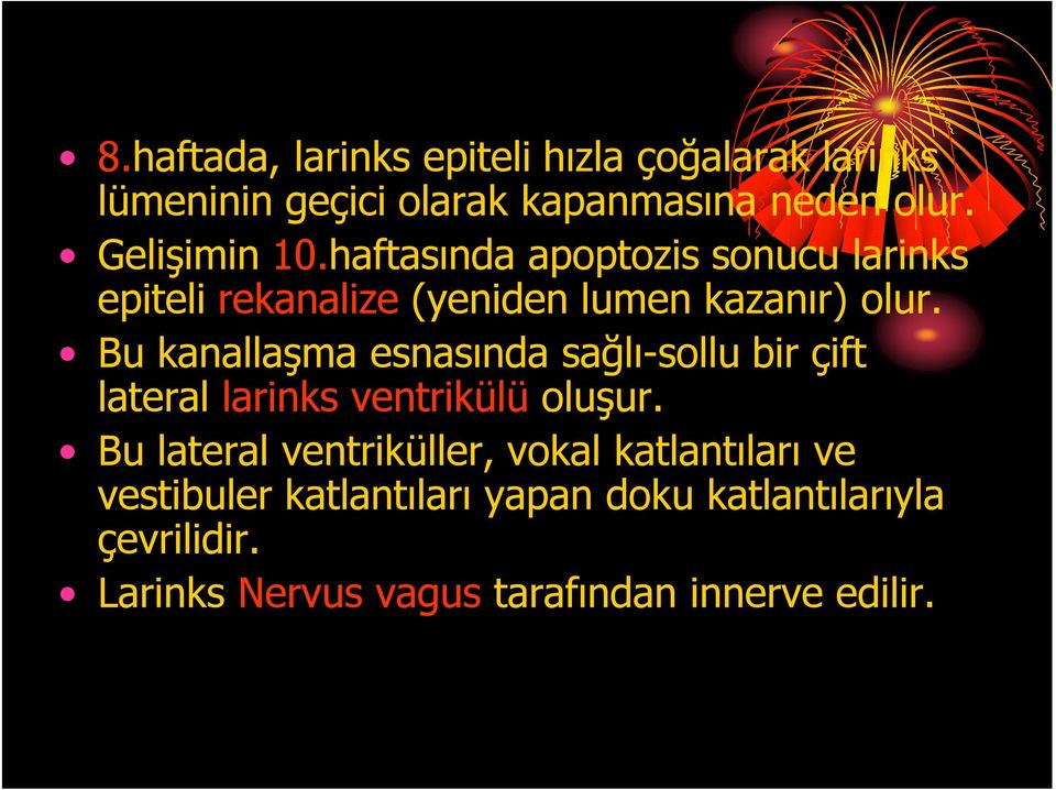 Bu kanallaşma esnasında sağlı-sollu bir çift lateral larinks ventrikülü oluşur.