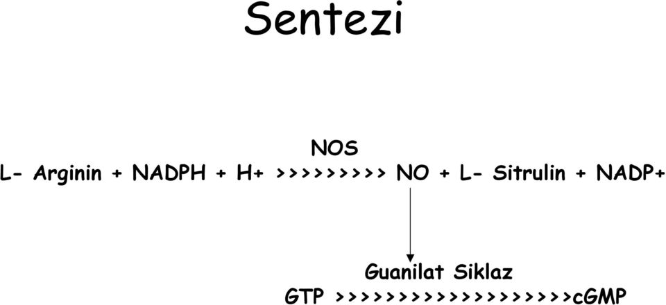 Sitrulin + NADP+ Guanilat