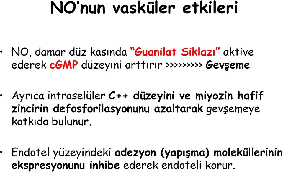 hafif zincirin defosforilasyonunu azaltarak gevşemeye katkıda bulunur.