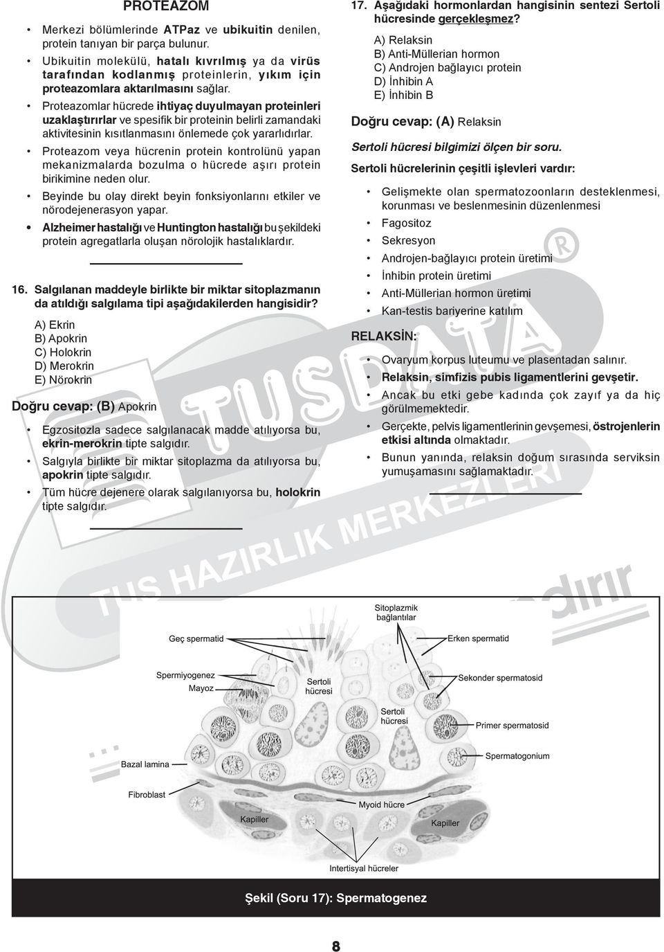 Proteazomlar hücrede ihtiyaç duyulmayan proteinleri uzaklaştırırlar ve spesifik bir proteinin belirli zamandaki aktivitesinin kısıtlanmasını önlemede çok yararlıdırlar.