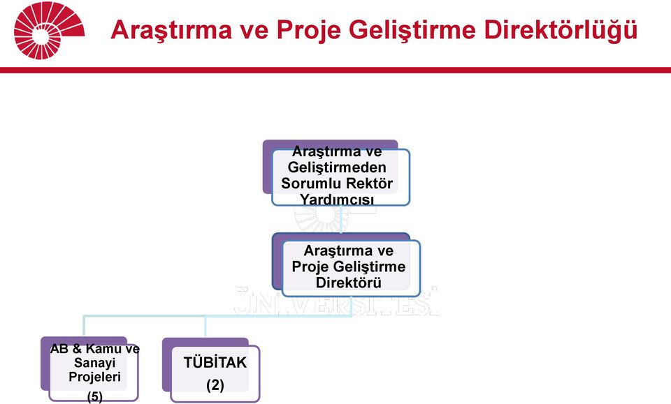 Yardımcısı Araştırma ve Proje Geliştirme