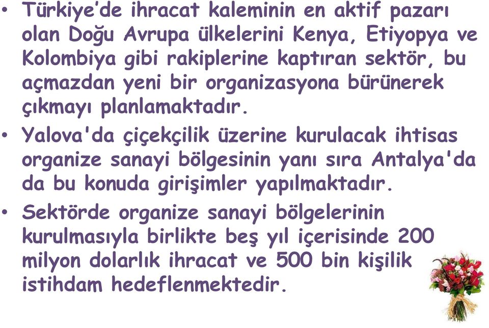 Yalova'da çiçekçilik üzerine kurulacak ihtisas organize sanayi bölgesinin yanı sıra Antalya'da da bu konuda girişimler