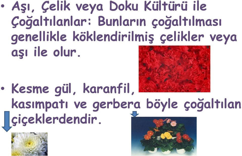 çelikler veya aşı ile olur.