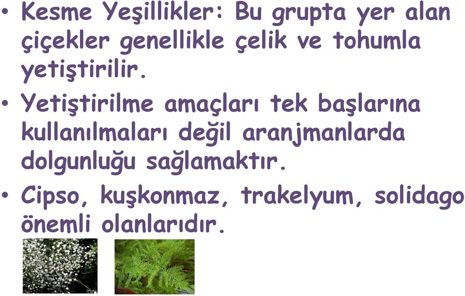 Yetiştirilme amaçları tek başlarına kullanılmaları değil