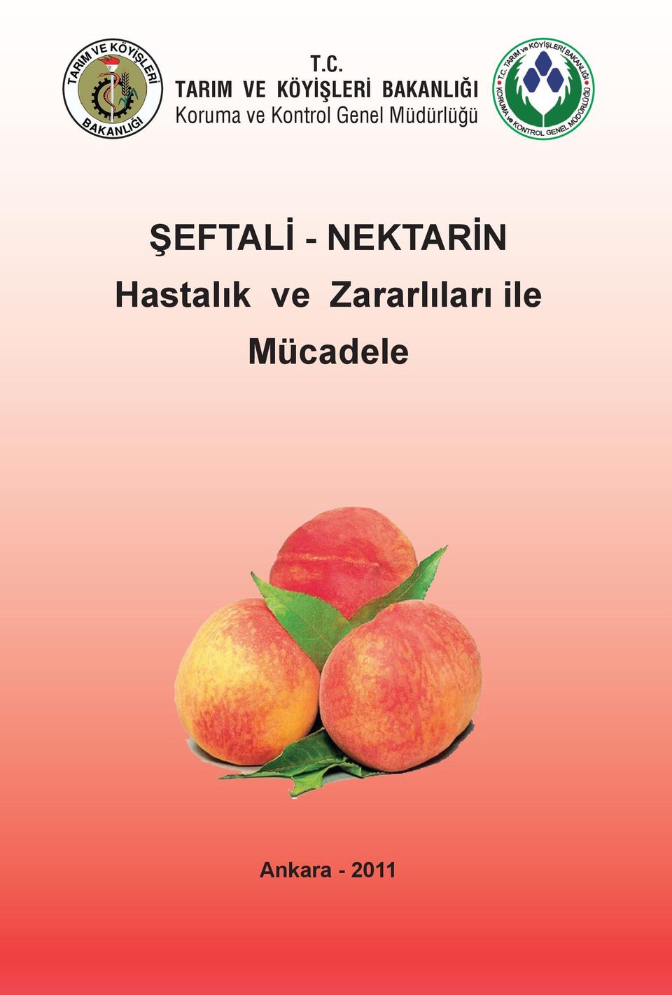 ŞEFTALİ - NEKTARİN Hastalık ve