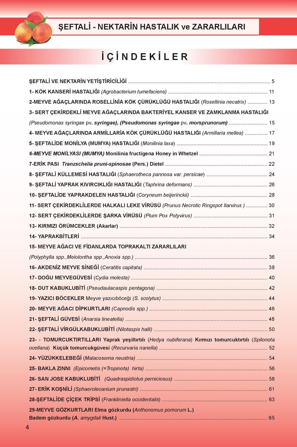 .. 15 4- MEYVE AĞAÇLARINDA ARMİLLARİA KÖK ÇÜRÜKLÜĞÜ HASTALIĞI (Armillaria mellea)... 17 5- ŞEFTALİDE MONİLYA (MUMYA) HASTALIĞI (Monilinia laxa).