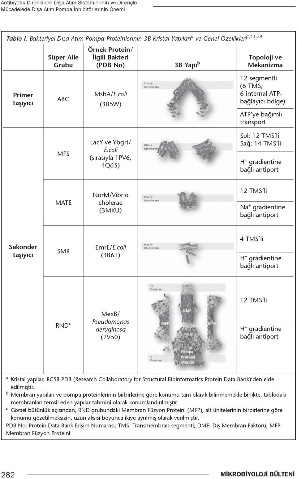 ABC MsbA/E.coli (3B5W) 12 segmentli (6 TMS, 6 internal ATPbağlayıcı bölge) ATP ye bağımlı transport MFS LacY ve YbgH/ E.