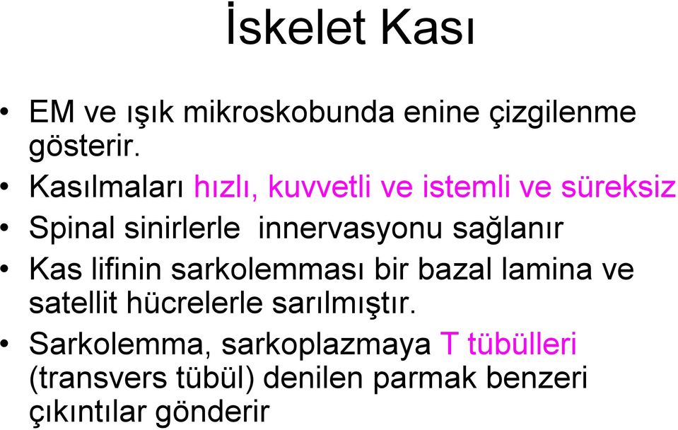 sağlanır Kas lifinin sarkolemması bir bazal lamina ve satellit hücrelerle