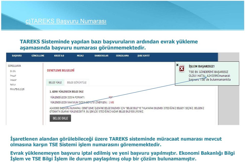 İşaretlenen alandan görülebileceği üzere TAREKS sisteminde müracaat numarası mevcut olmasına karşın TSE Sistemi