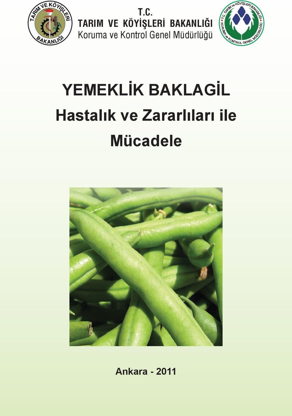 YEMEKLİK BAKLAGİL Hastalık ve