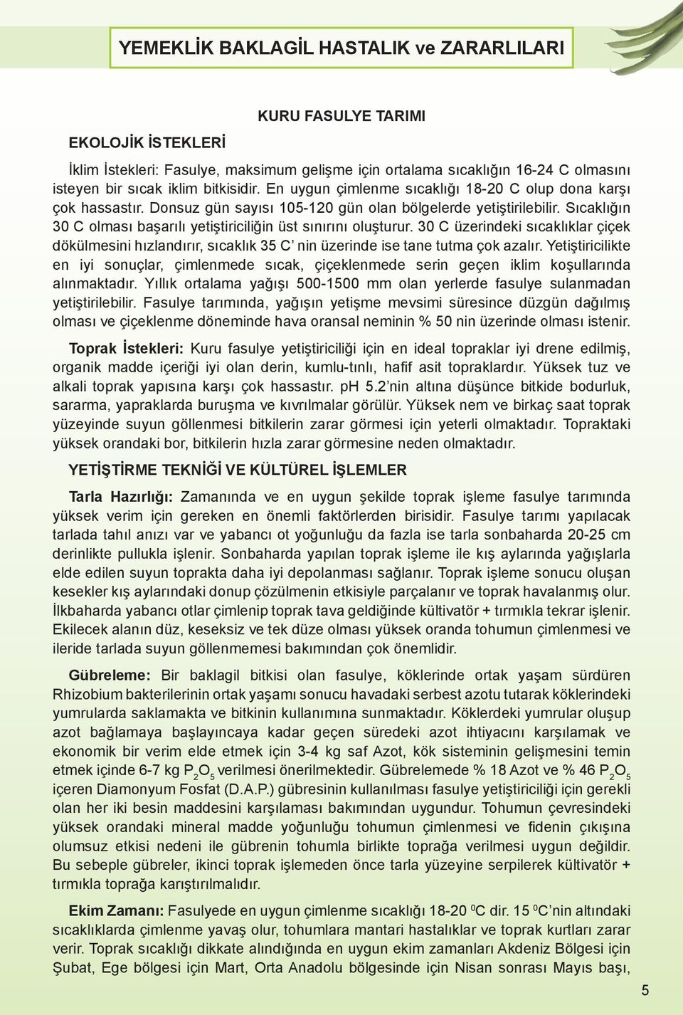 Sıcaklığın 30 C olması başarılı yetiştiriciliğin üst sınırını oluşturur. 30 C üzerindeki sıcaklıklar çiçek dökülmesini hızlandırır, sıcaklık 35 C nin üzerinde ise tane tutma çok azalır.