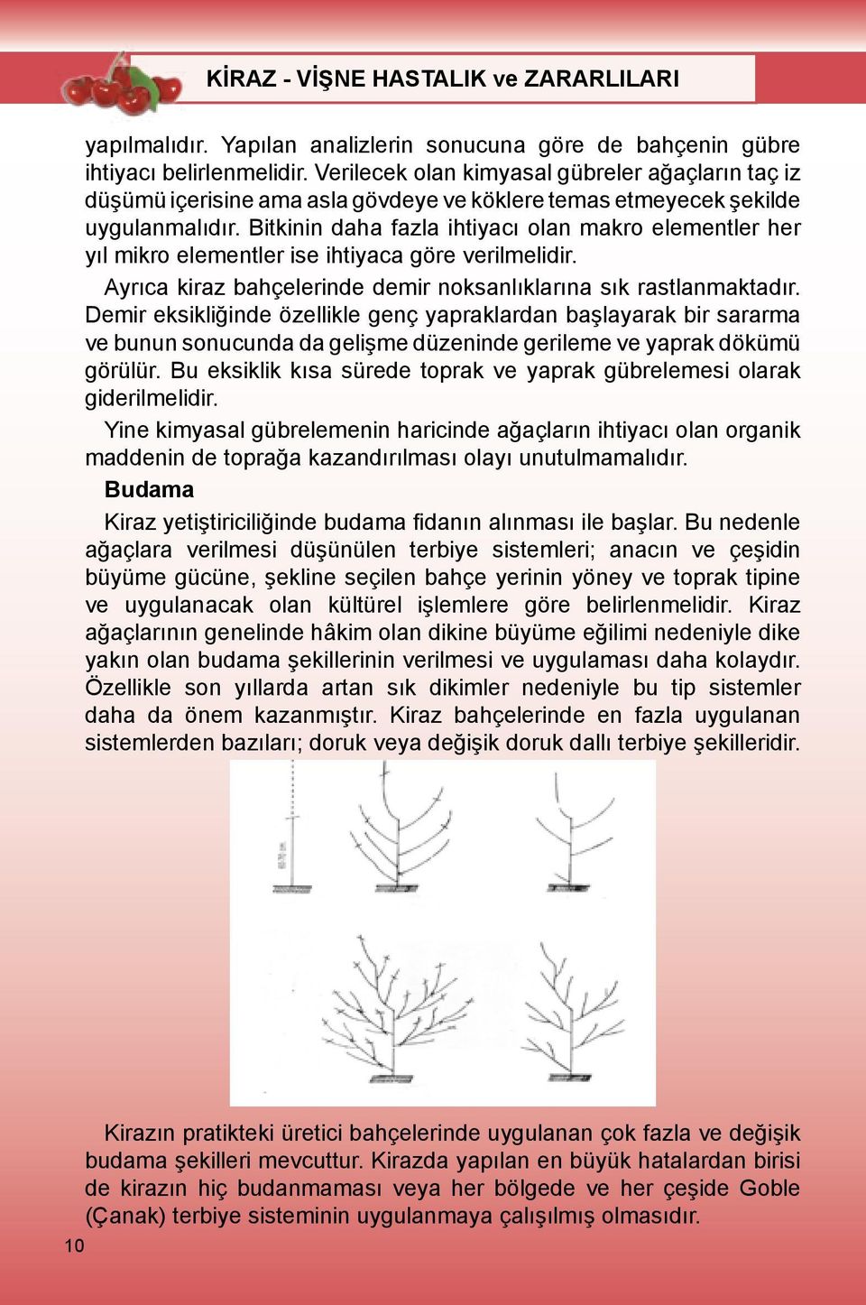 Bitkinin daha fazla ihtiyacı olan makro elementler her yıl mikro elementler ise ihtiyaca göre verilmelidir. Ayrıca kiraz bahçelerinde demir noksanlıklarına sık rastlanmaktadır.