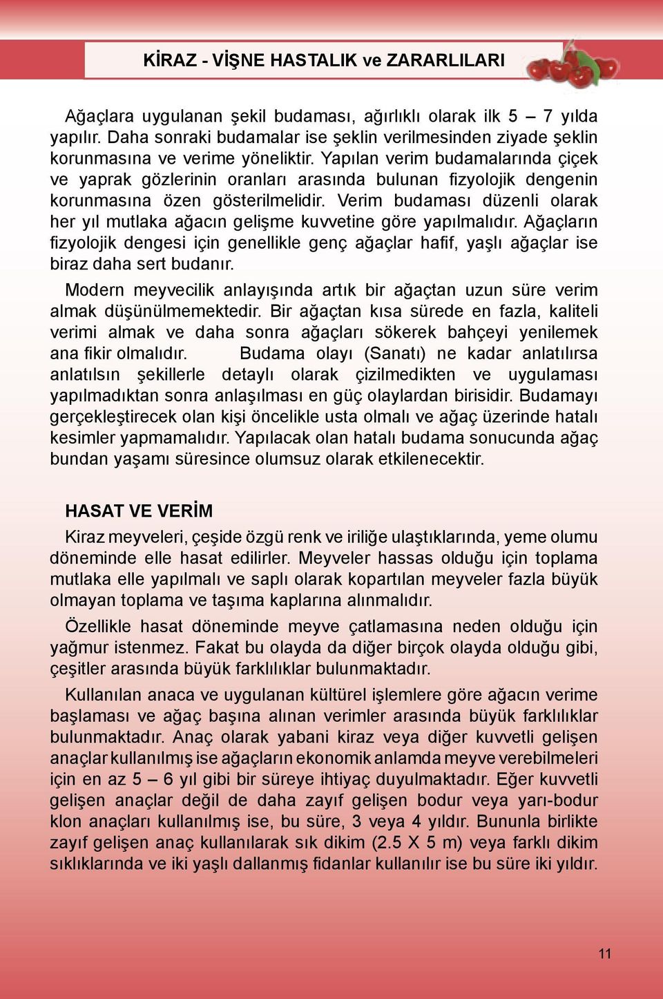 Verim budaması düzenli olarak her yıl mutlaka ağacın gelişme kuvvetine göre yapılmalıdır. Ağaçların fizyolojik dengesi için genellikle genç ağaçlar hafif, yaşlı ağaçlar ise biraz daha sert budanır.