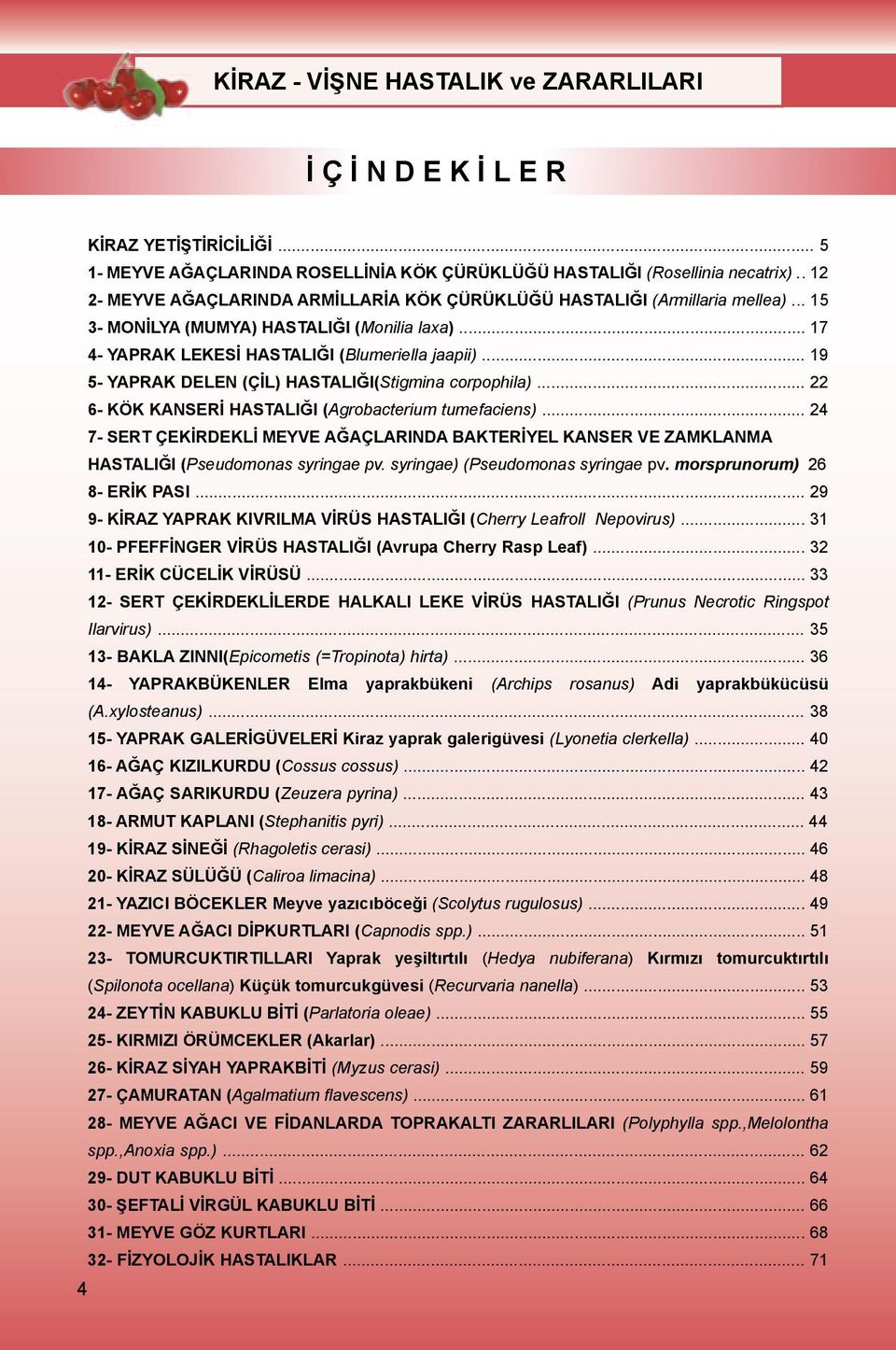 .. 19 5- YAPRAK DELEN (ÇİL) HASTALIĞI(Stigmina corpophila)... 22 6- KÖK KANSERİ HASTALIĞI (Agrobacterium tumefaciens).